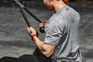 《瘟疫传说：安魂曲》赞誉宣传片 玩家数突破100万